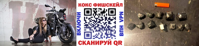 Кокаин Fish Scale  Купить закладки  Никольск 