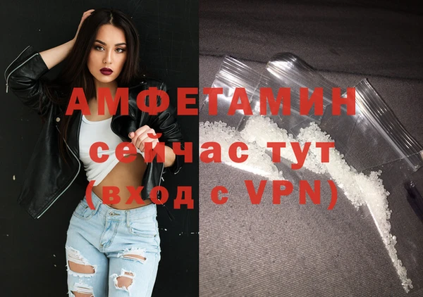 сатива Ладушкин